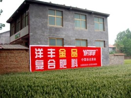恭城如何让墙体广告展现最大化效果