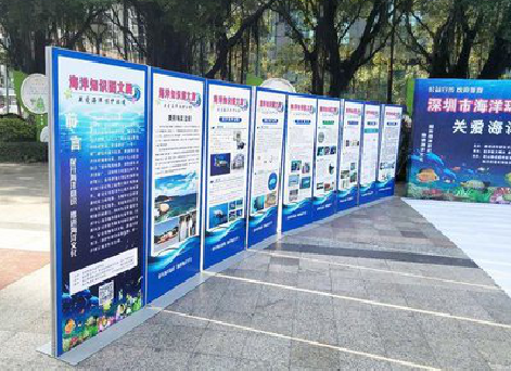 恭城KT板的种类和知识。